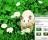 Cute Hamsters Windows 7 Theme - This is a sample of how Cute Hamsters Windows 7 Theme will look like on your desktop.