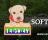 Cute Puppy Clock - Cute Puppy Clock displays an interesting clock and a puppy right on your desktop.
