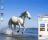 Horses Windows 7 Theme - This is a sample of how Horses Windows 7 Theme will look like on your desktop.