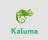 Kaluma Agent - The Kaluma project enables JavaScript development in a web-based IDE