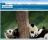 Panda Smart Browser - Panda Smart Browser is a simple to use application, dedicated to access random websites and increase their traffic.