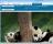 Panda Smart Browser - screenshot #4