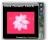 Pink Flower Clock - Pink Flower Clock provides users a useful Windows gadget which displays the clock on the dektop