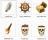 Pirates Theme Icon Collection - These are the basic icons you'll find in Pirates Theme Icon Collection.