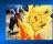 Pokemon AG Screensaver - Pokemon AG Screensaver will display a series of pictures from the Pokemon cartoons.