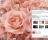 Roses Theme - This is one of the numerous high-quality images that will be displayed on your desktop once you install Roses Theme