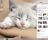 Sleepy Kittens Theme - Sleepy Kittens Theme replaces your default desktop wallpaper with images of adorable cats