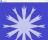 Snowflake - You can design a snowflake by dragging the control points and creating new vertices