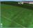 Tactic3D Viewer Rugby - Tactic3D Viewer Rugby is a user-friendly application that enables you to watch 3D simulations of rugby matches.