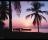 Tropical Sunset - screenshot #1