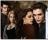 Twilight Saga Theme - Twilight Saga Theme will help you customize your desktop appearance with images from the Twilight movie series.