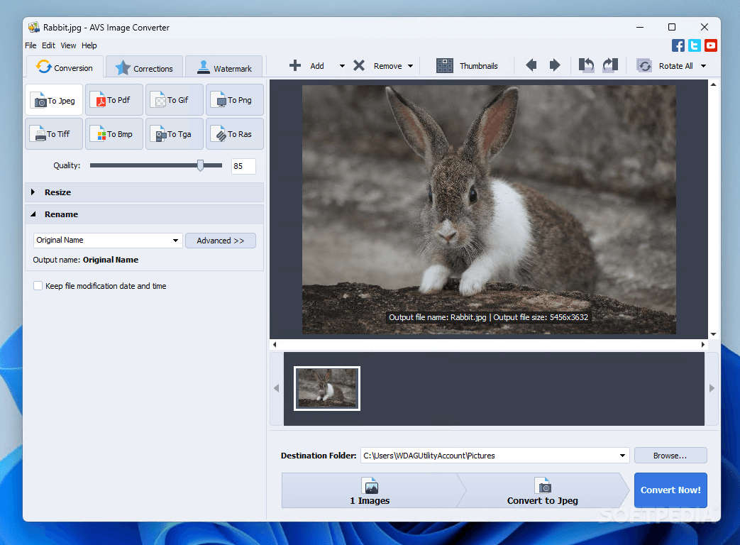 Download AVS Image Converter 5.2.5 Build 304