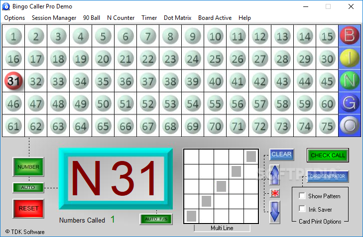 bingo software for windows