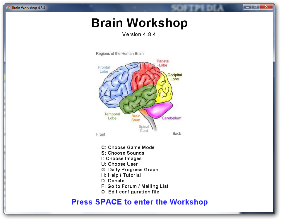 week 4 assignment the adolescent brain workshop handout