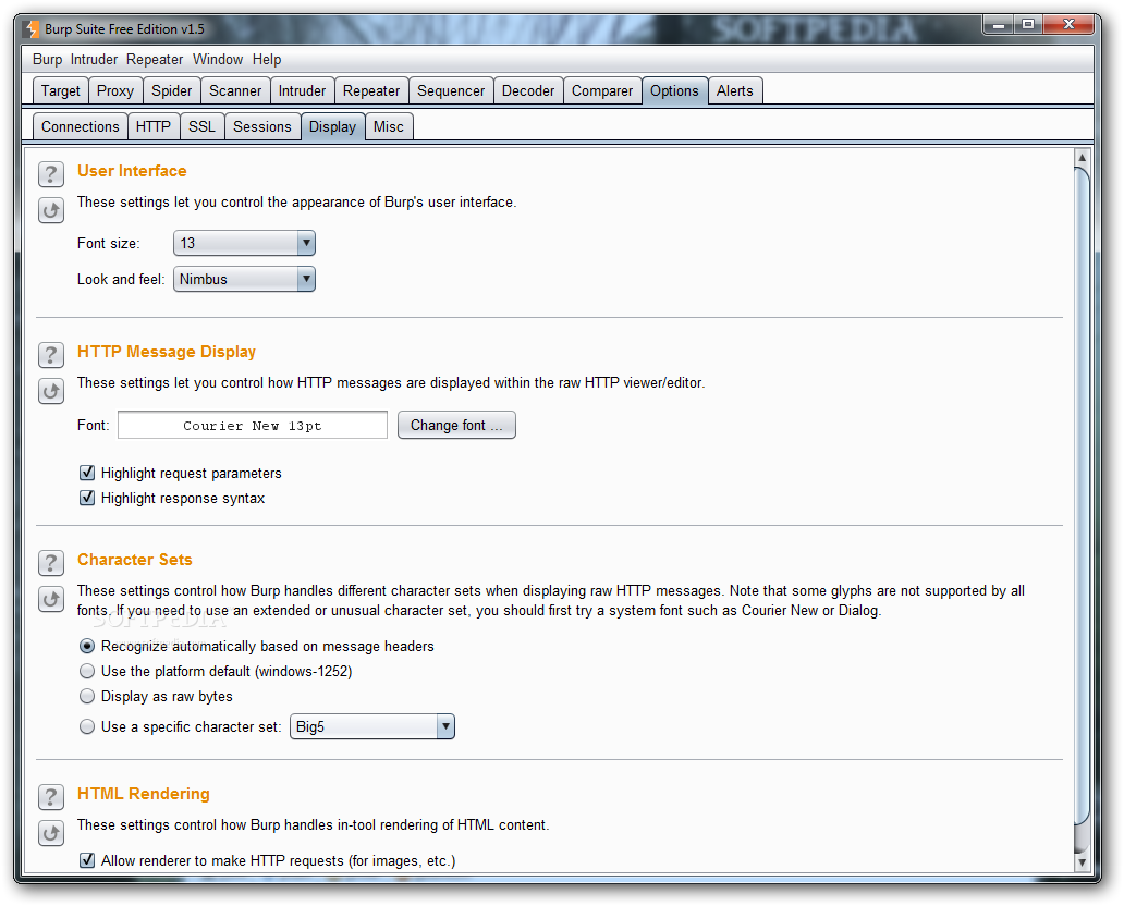 Burp Suite Professional 2023.10.2.3 download the new version