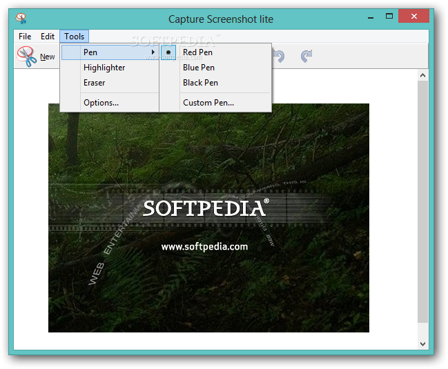 capture screenshot windows