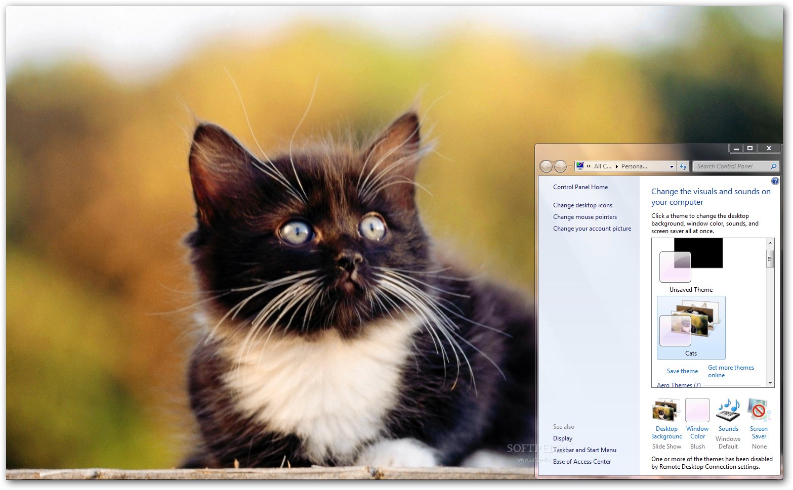 for windows instal Cat Condo