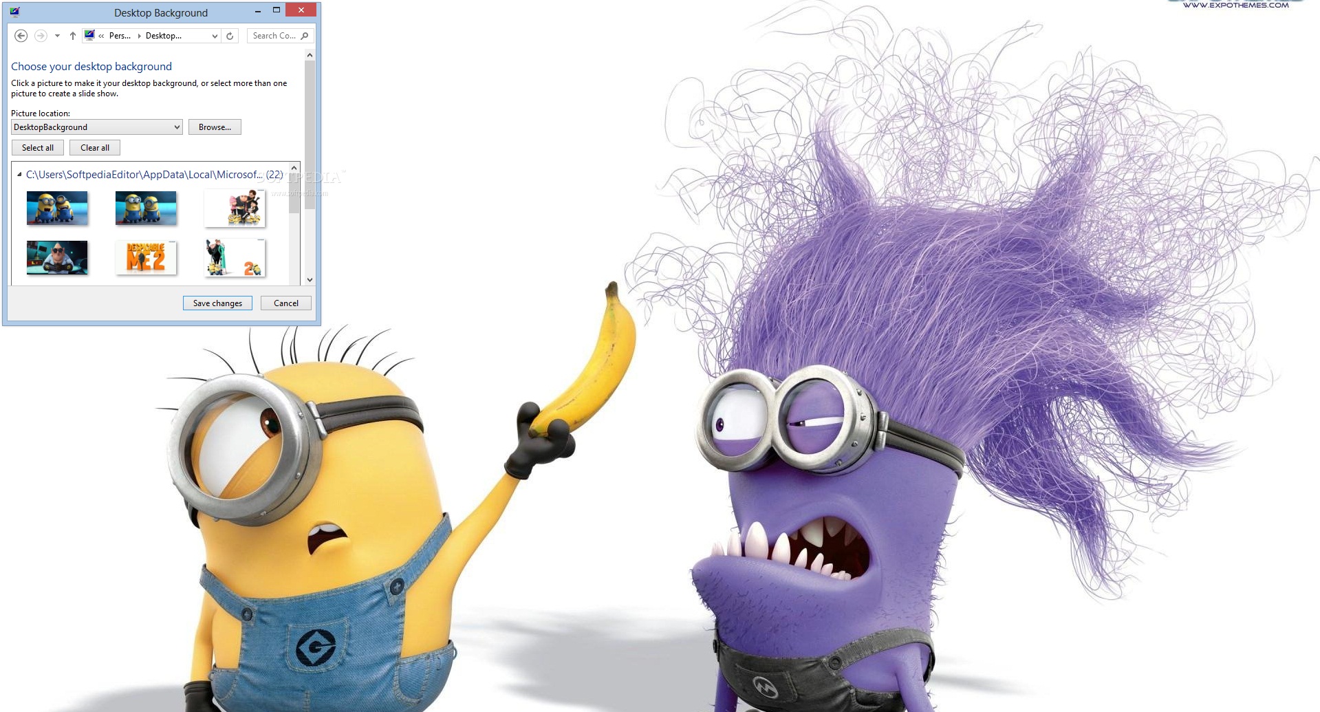 Despicable Me 2 for windows download free