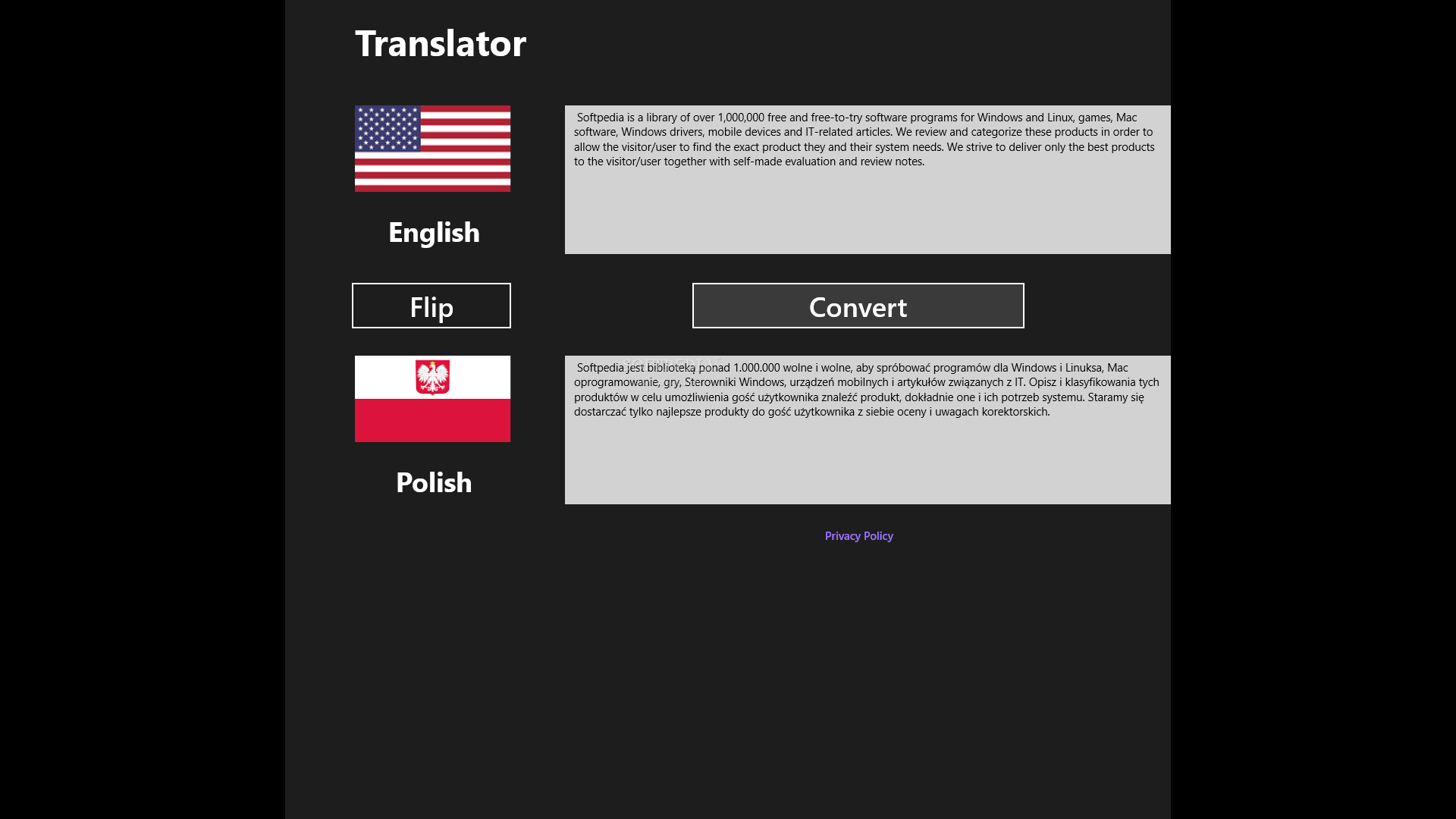 spanish polish translator