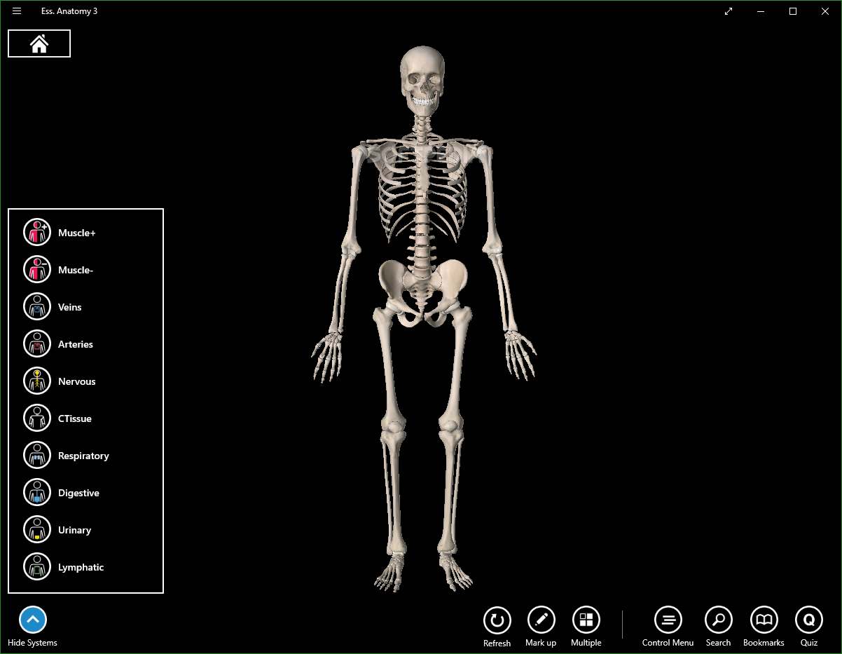 essential anatomy online