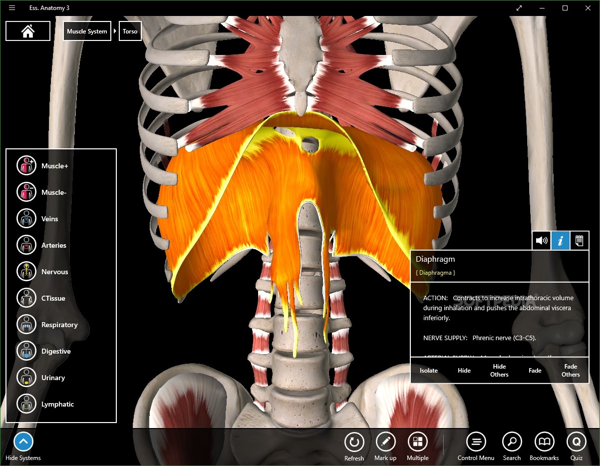 essential anatomy app for ipad