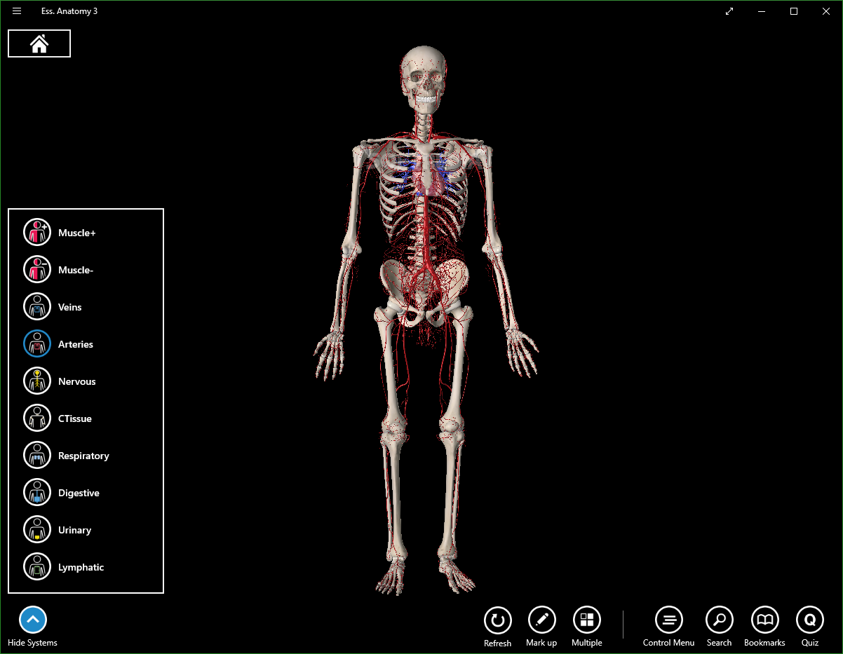 essential anatomy online