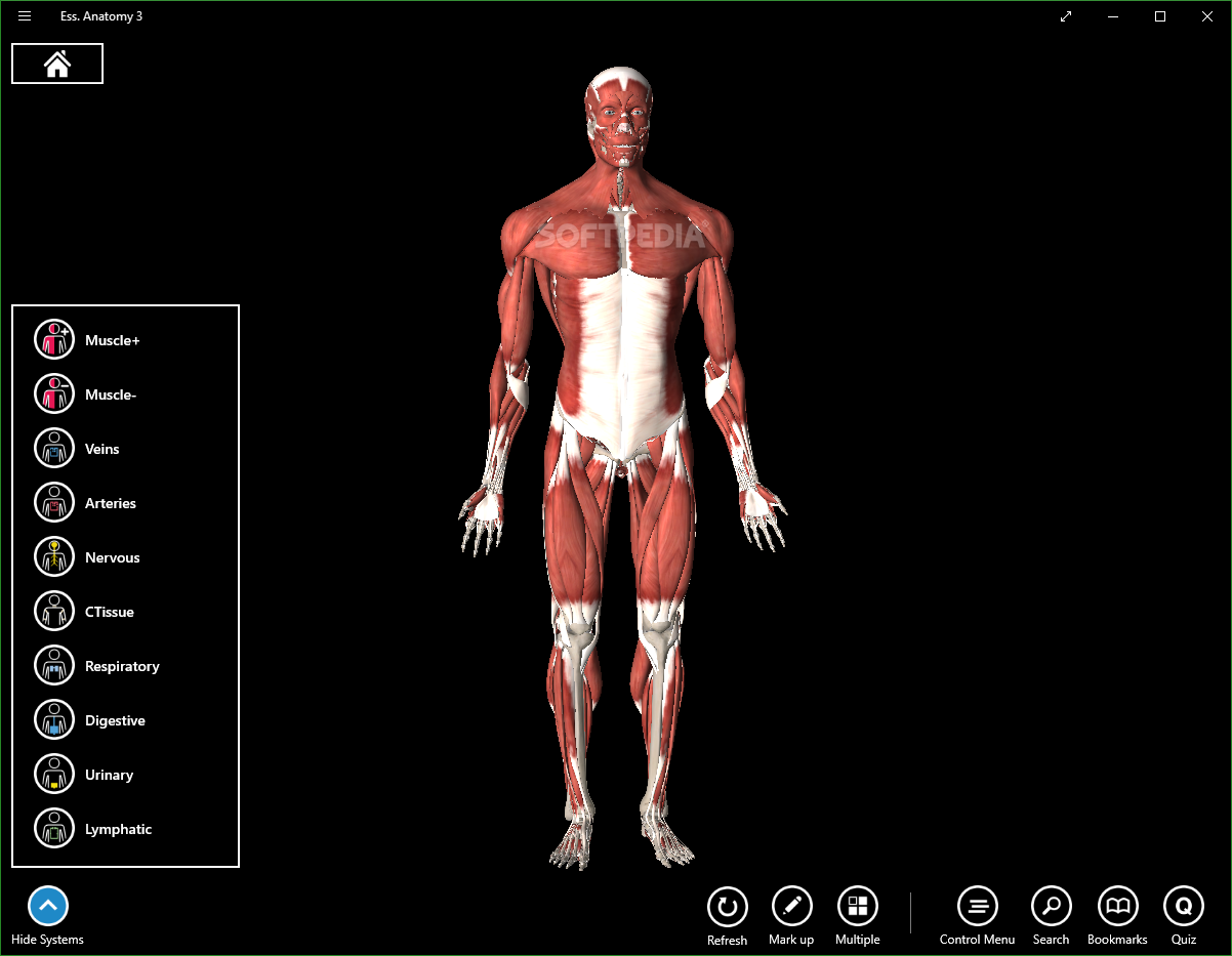 essential anatomy 3d