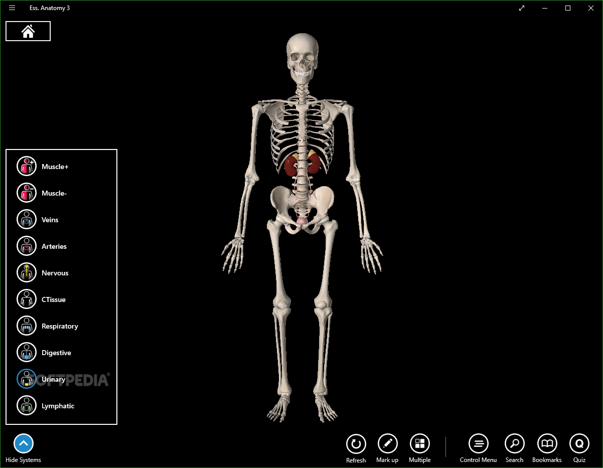 visible body human anatomy atlas free download