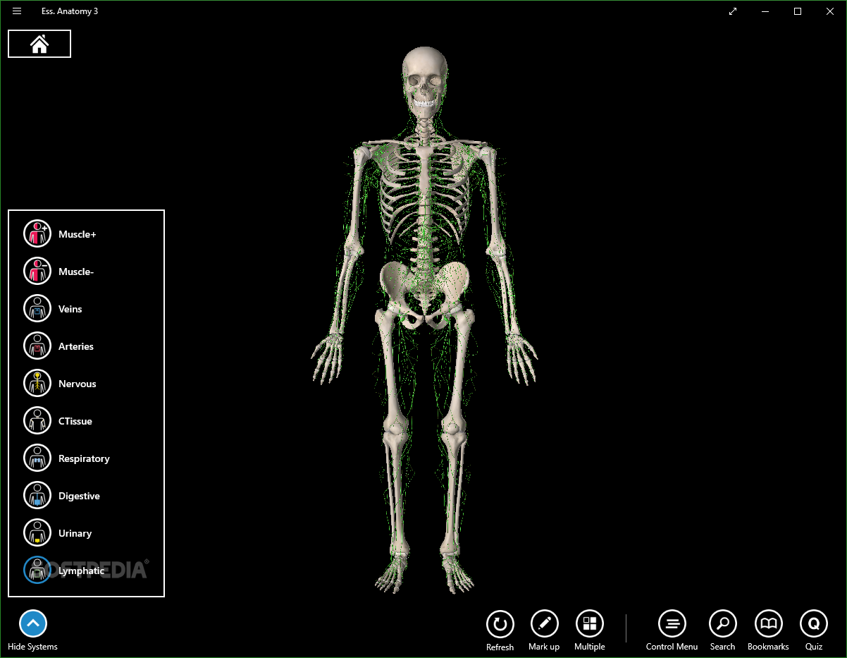 download essential anatomy 5 for windows free