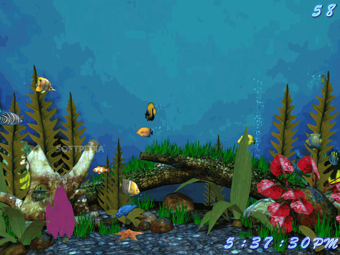 Download Fish Aquarium 3D Screensaver 2.0