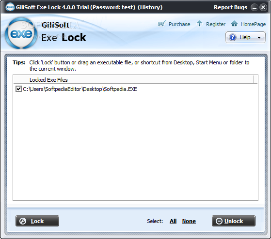 GiliSoft Exe Lock 10.8 for mac download free