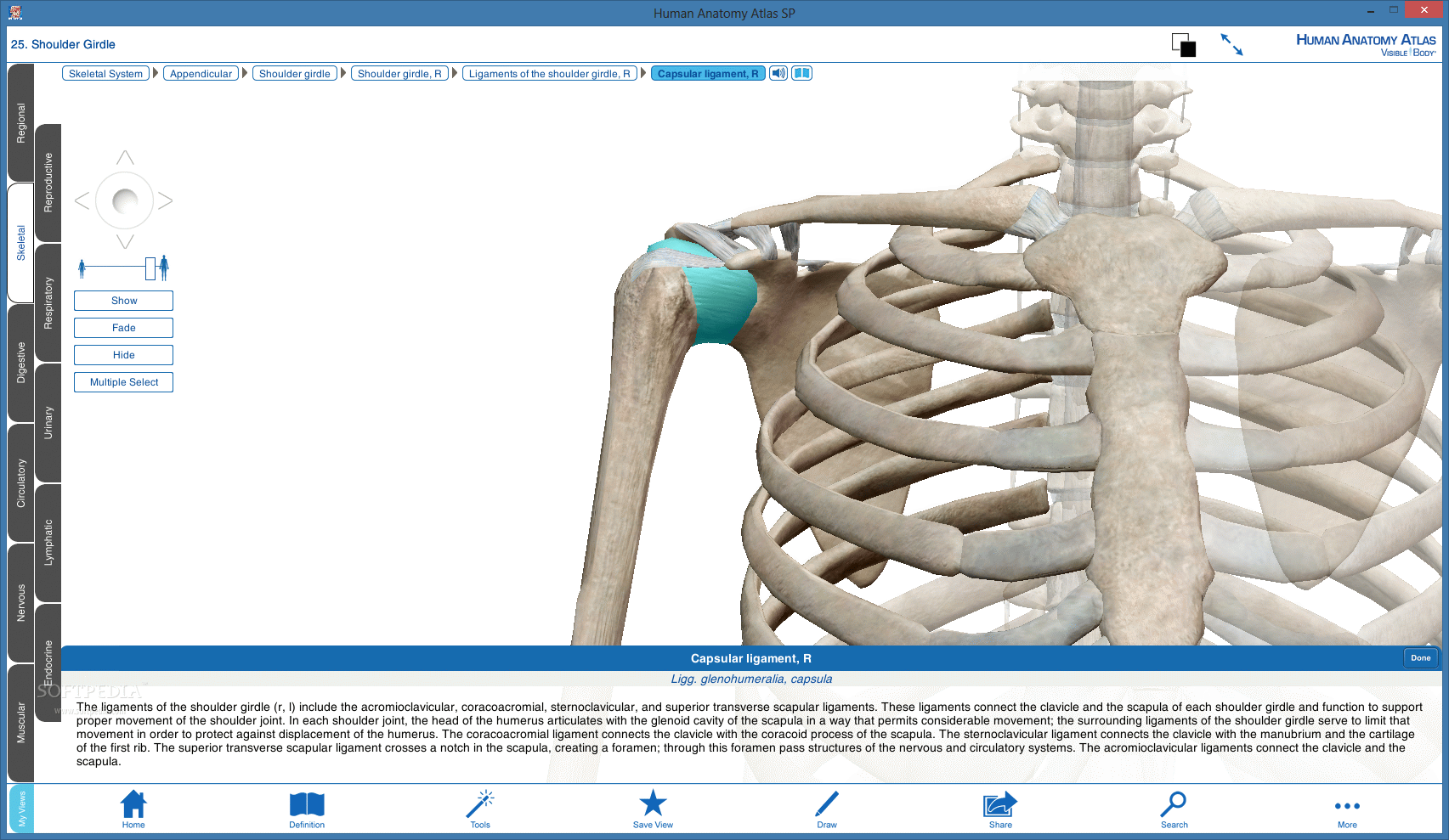Download Human Anatomy Atlas SP 2018.3