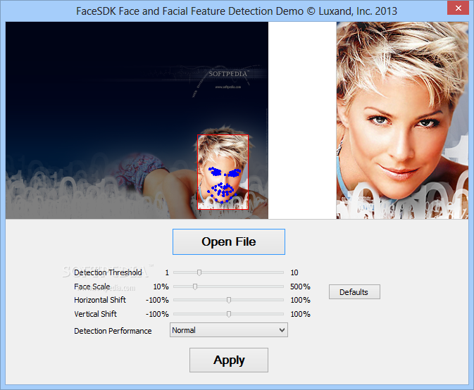 Luxand FaceSDK screenshot #1