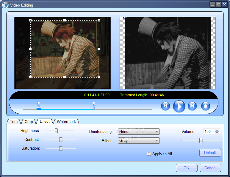 MacVideo DVD Ripper screenshot #3
