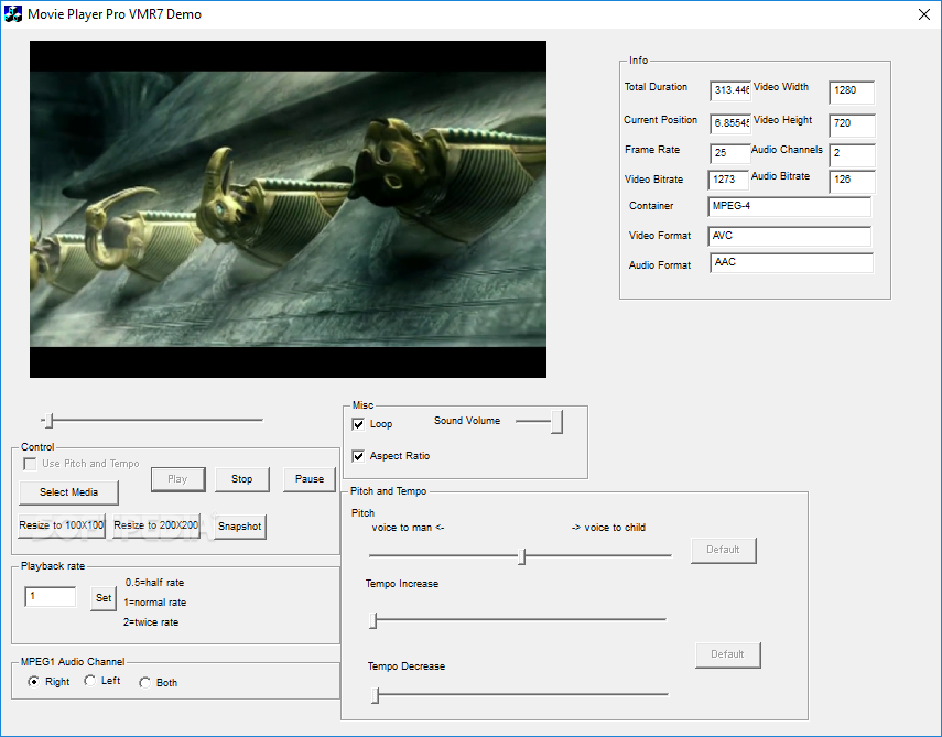 Movie Player Pro SDK ActiveX screenshot #0