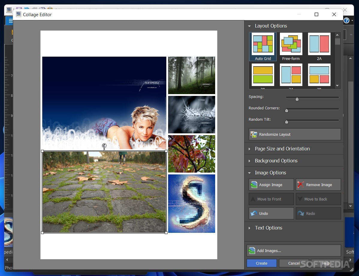 NCH PhotoPad Image Editor 11.47 for ios download free