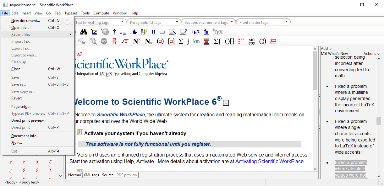 scientific workplace 6 insert blank graph