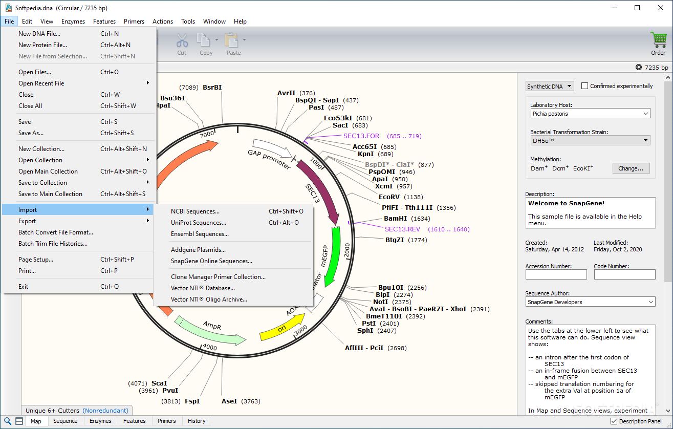 how to switch snapgene viewer to circular plasmid