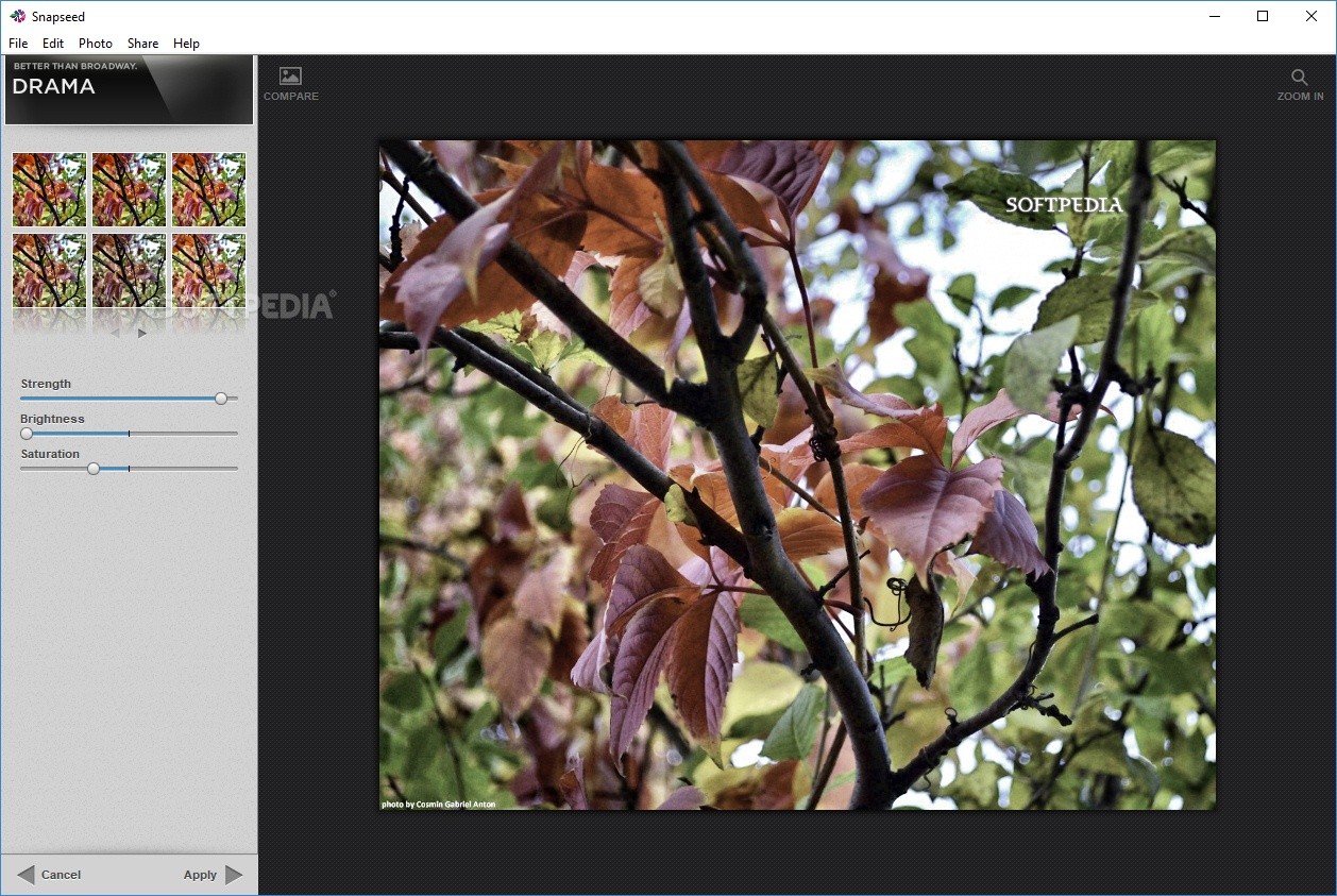 snapseed for windows 10 free download full version