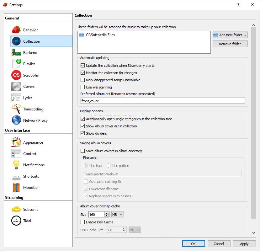 download the last version for windows Strawberry Music Player 1.0.20
