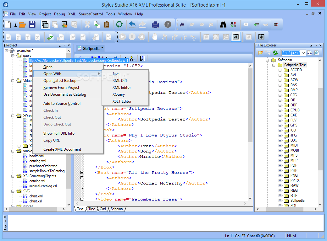 Stylus Studio X16 XML Professional Suite screenshot #1