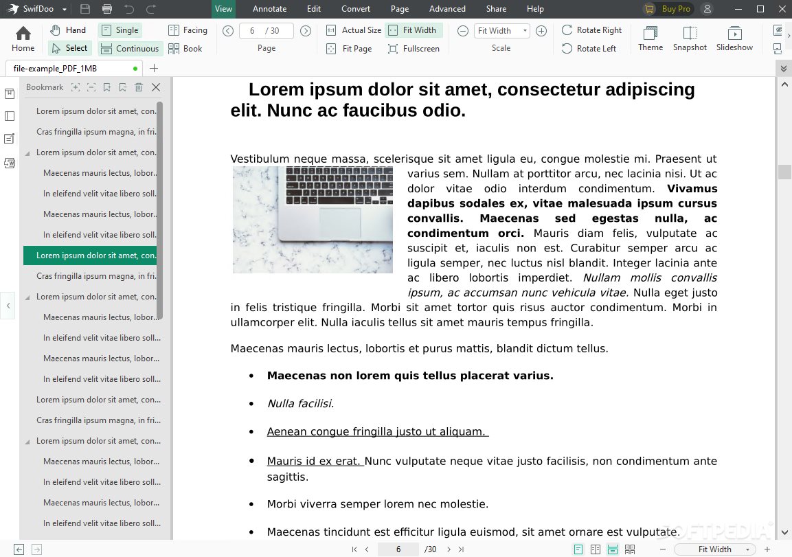 SwifDoo PDF screenshot #3