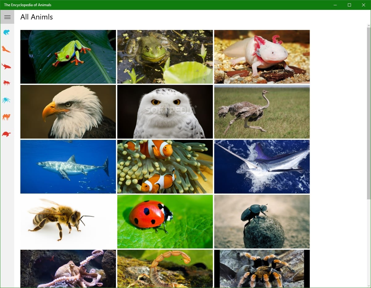 The Encyclopedia of Animals .0 (Windows) - Download & Review