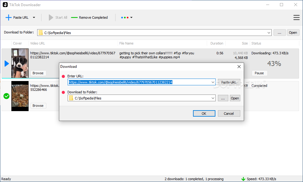 instal the new for mac Muziza YouTube Downloader Converter 8.2.8
