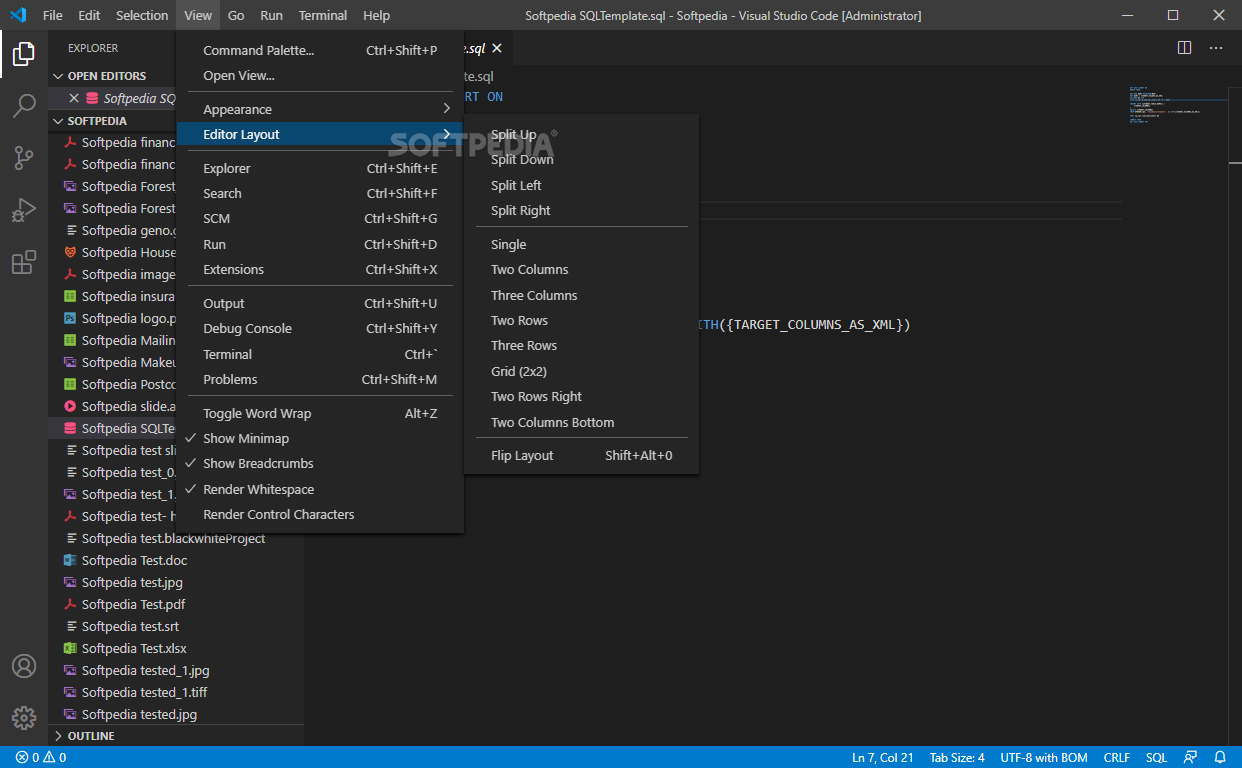 Visual Studio Code Portable screenshot #5