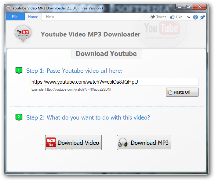 download section of youtube video mp3