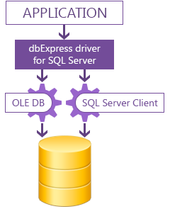 dbExpress driver for SQL Server screenshot #0