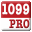 1099 Pro Professional icon