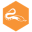 ActivePython icon