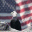 American Flag Theme icon